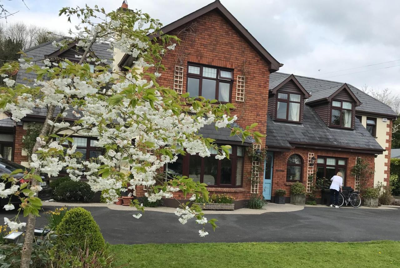 Dunaree Bed And Breakfast Bunratty Exterior photo