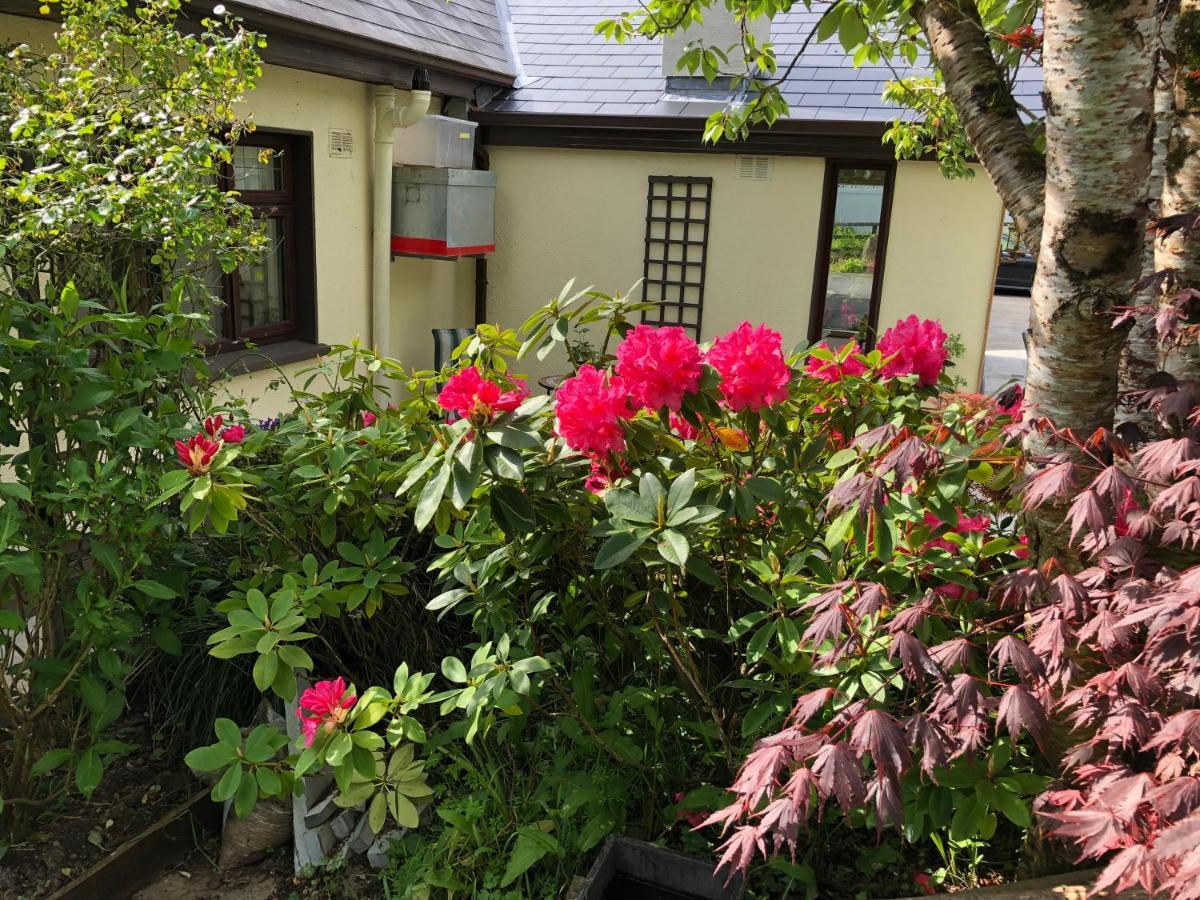 Dunaree Bed And Breakfast Bunratty Exterior photo
