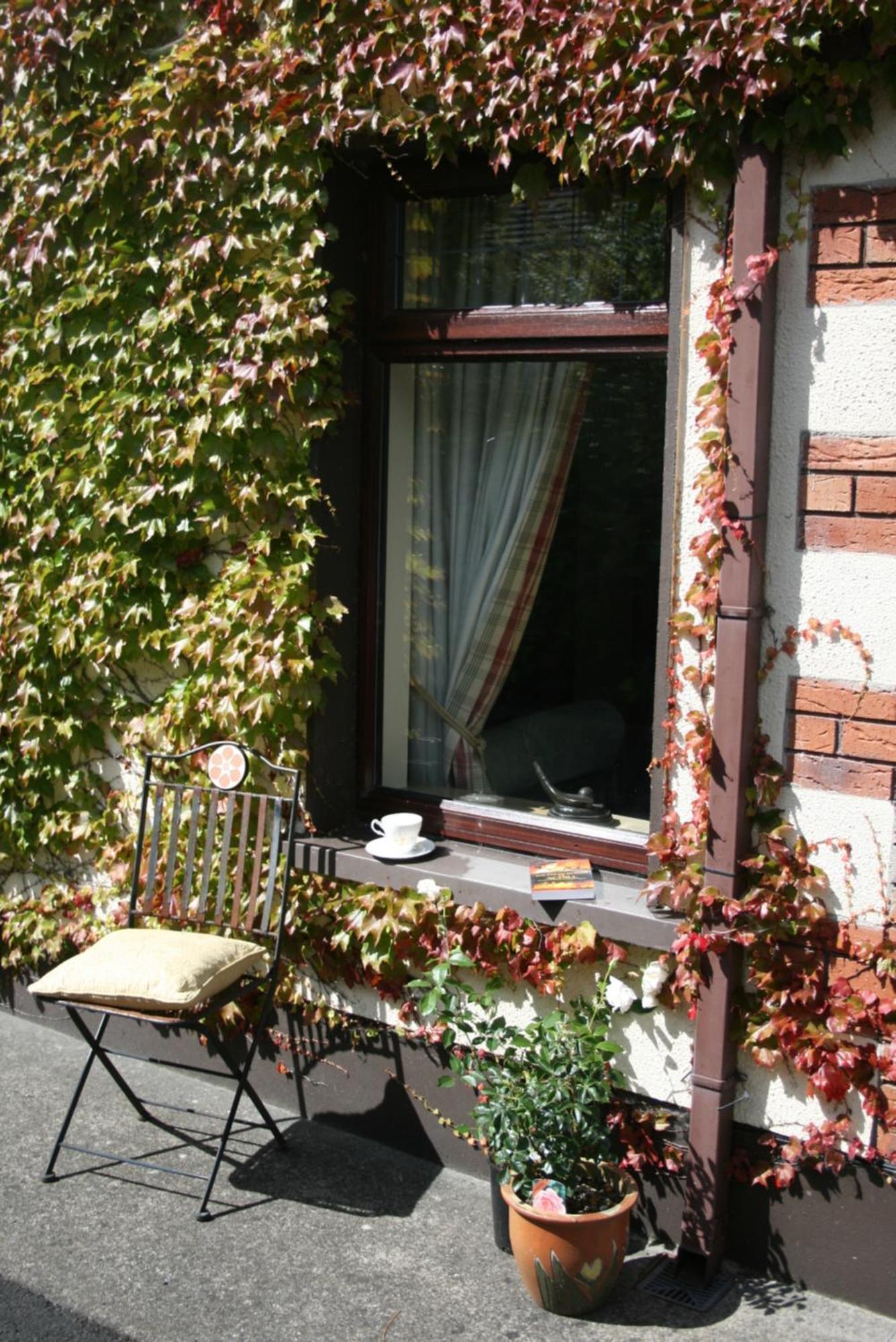 Dunaree Bed And Breakfast Bunratty Exterior photo